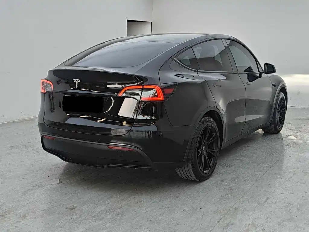 Tesla Model Y — миниатюра 9
