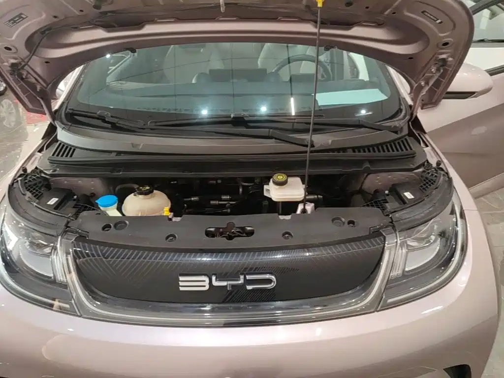 BYD Dolphin — миниатюра 20