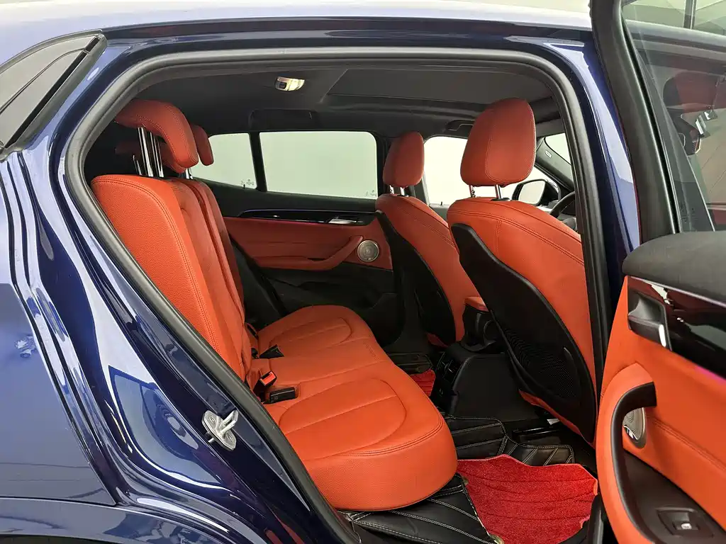 BMW X2 2020 sDrive25i Lead M Sport