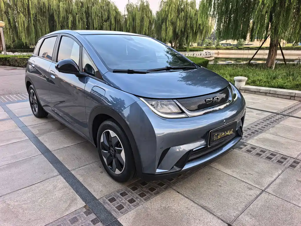 BYD Dolphin — миниатюра 2