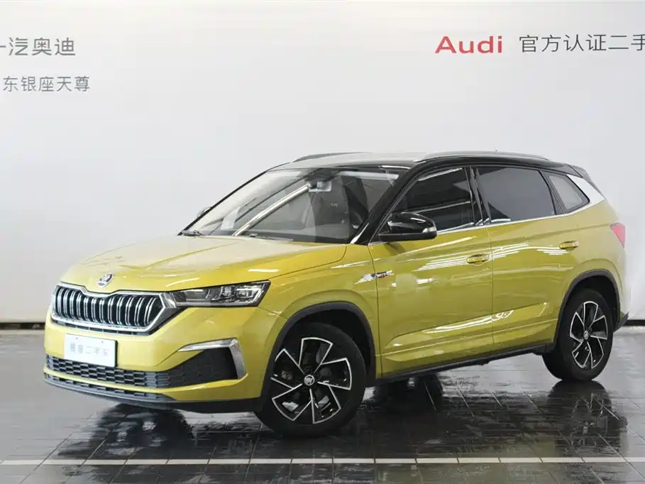 Купить Skoda Kamiq