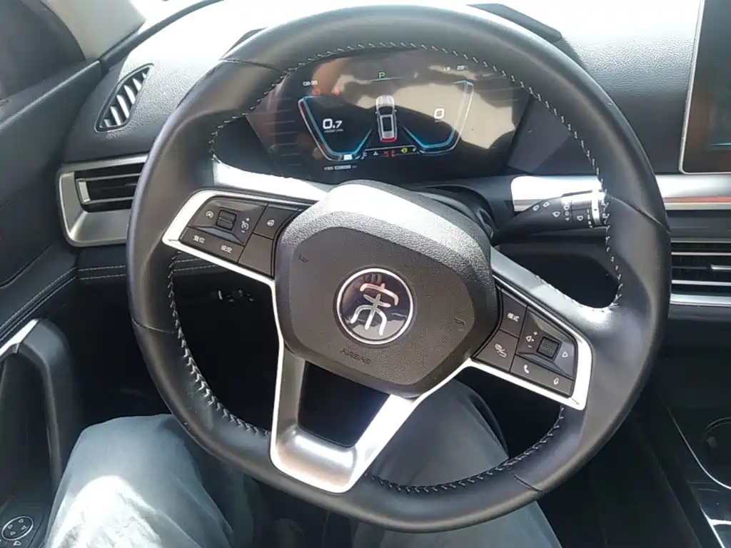 BYD Pro — миниатюра 11