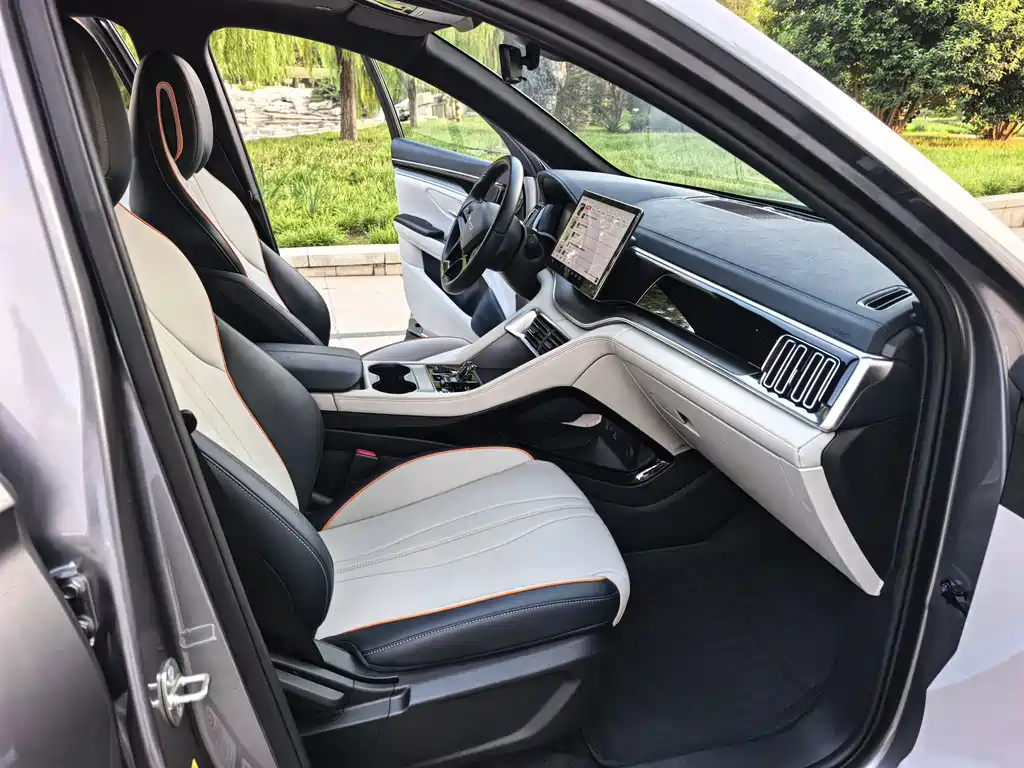 BYD PLUS New Energy — миниатюра 10