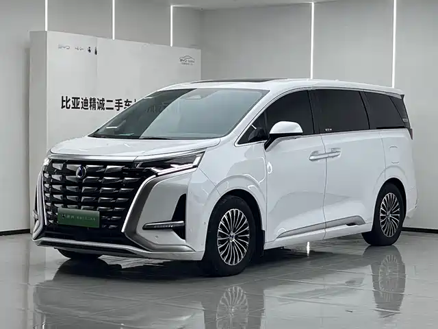 Denza D9