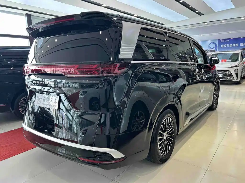 Denza Denza D9 — миниатюра 24