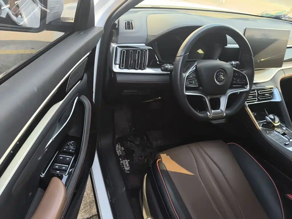 BYD PLUS — миниатюра 12