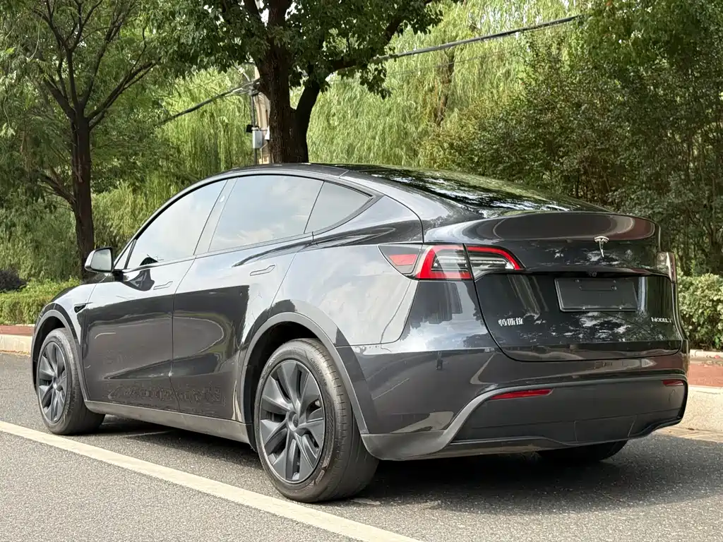 Tesla Model Y — миниатюра 3