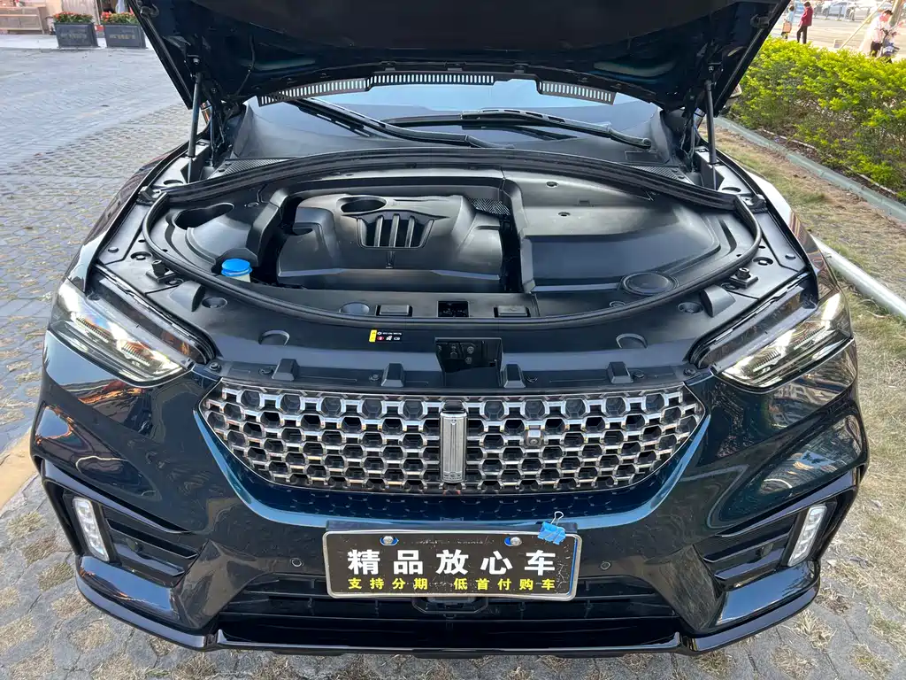 WEI PAI WEI BRAND VV7