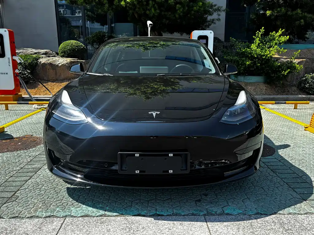 Tesla Model 3 — миниатюра 2