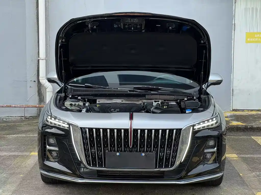Hongqi Hongqi H5 — миниатюра 11