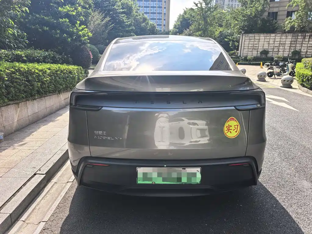 Tesla Model Y — миниатюра 6