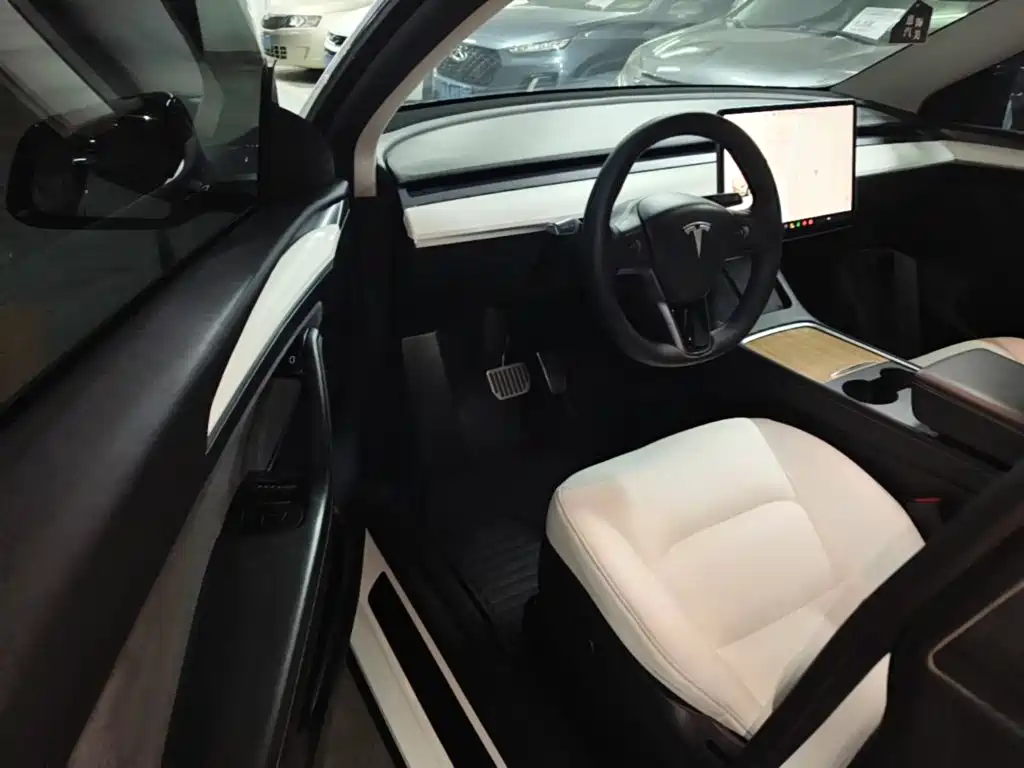 Tesla Model Y — миниатюра 16