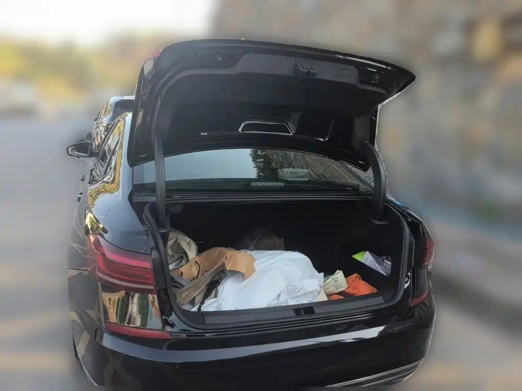 Volkswagen Passat — миниатюра 15