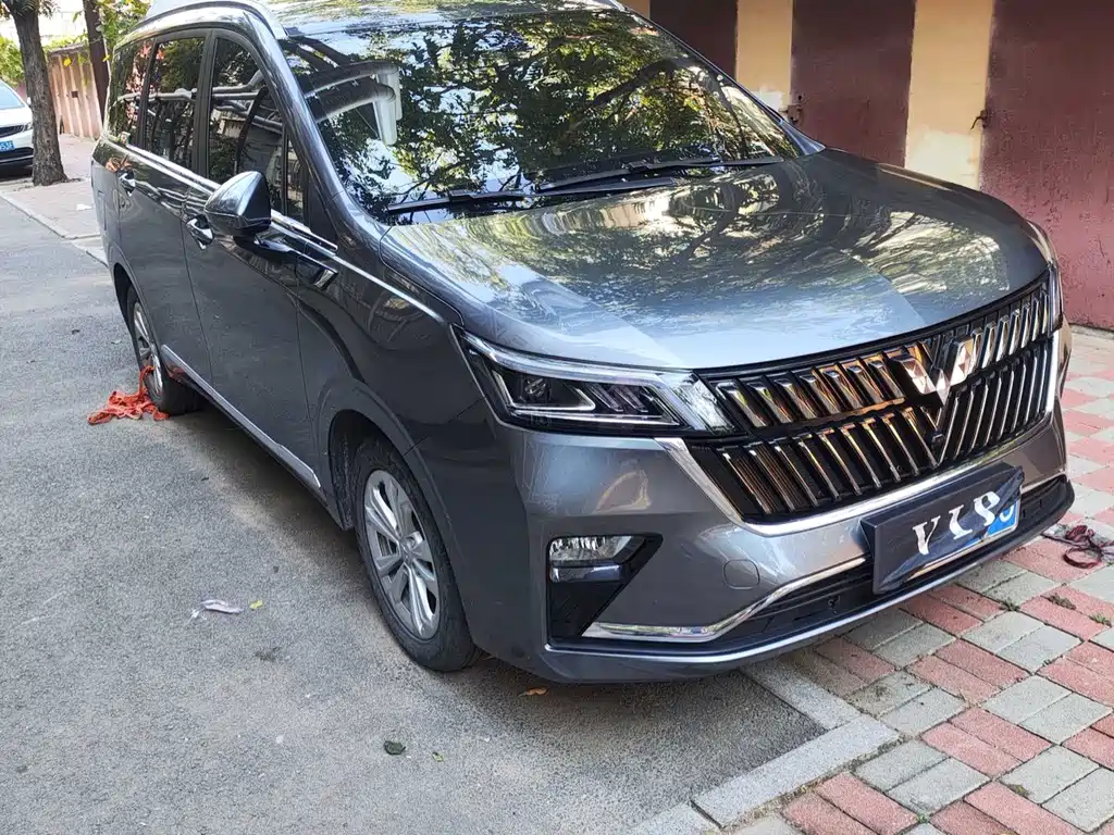 Wuling Jiachen — миниатюра 3