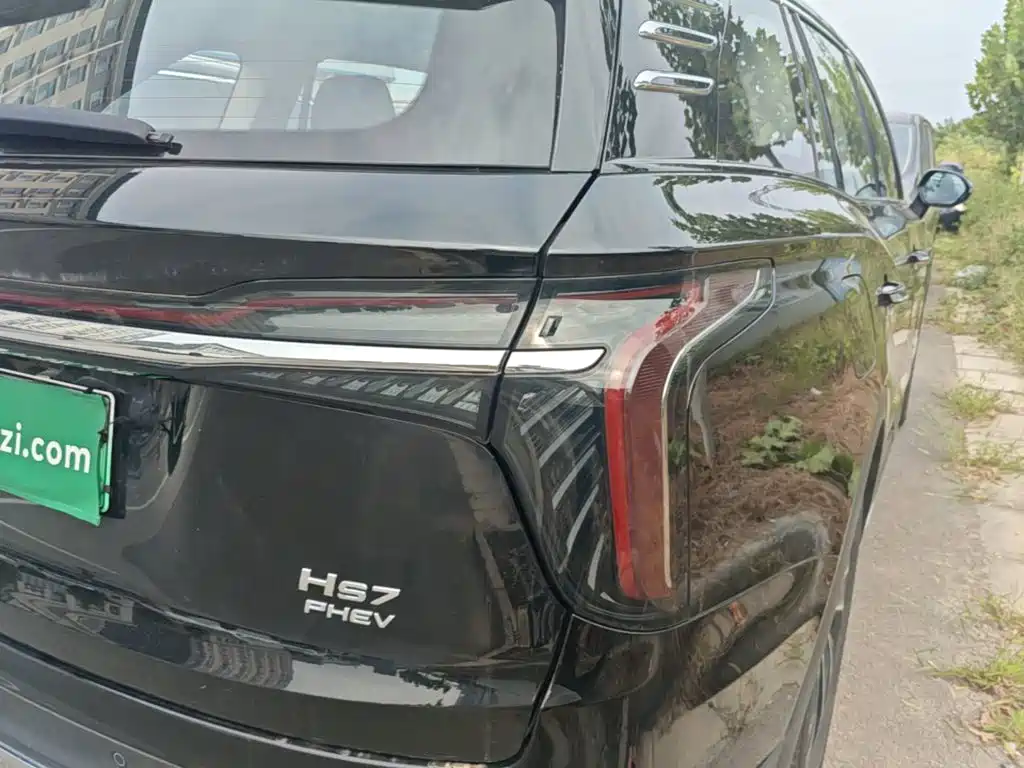 Hongqi Hongqi HS7 PHEV — миниатюра 8