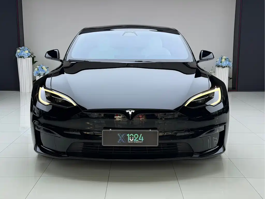 Tesla Model S — миниатюра 2