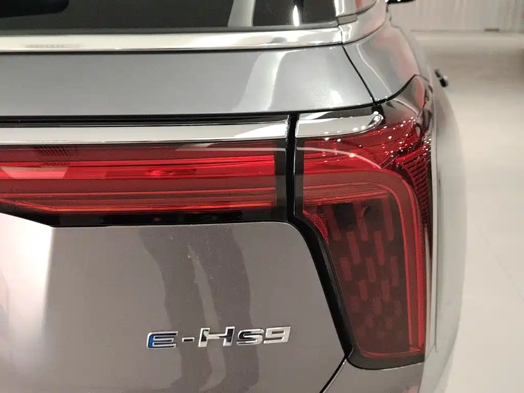 Hongqi E-HS9 2022 660km мест