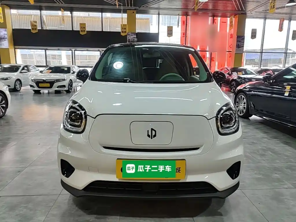 Leapmotor T03 2024 310