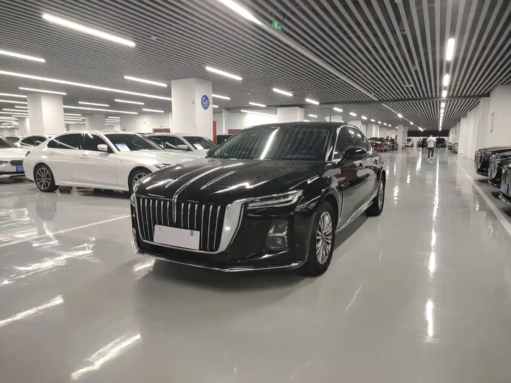 Hongqi Hongqi H5 2024