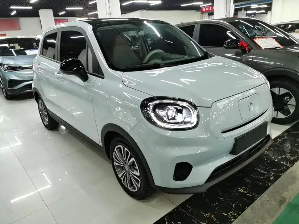 Leapmotor T03 2024 310