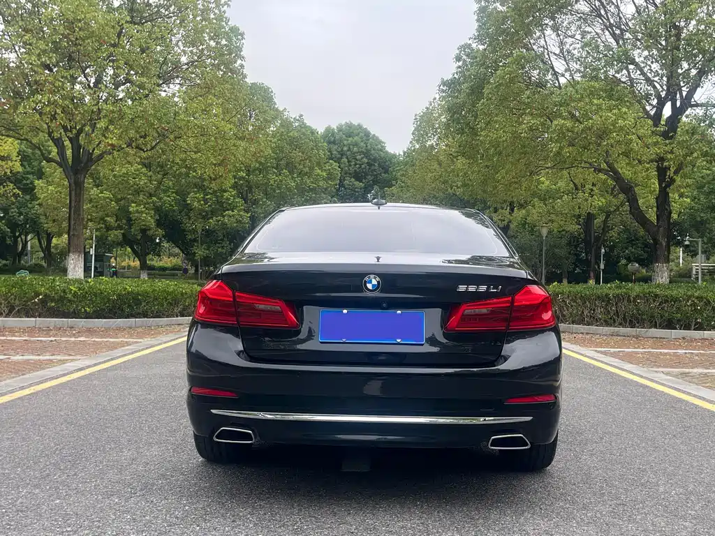 BMW 5 Series 5 2020 525Li Luxury