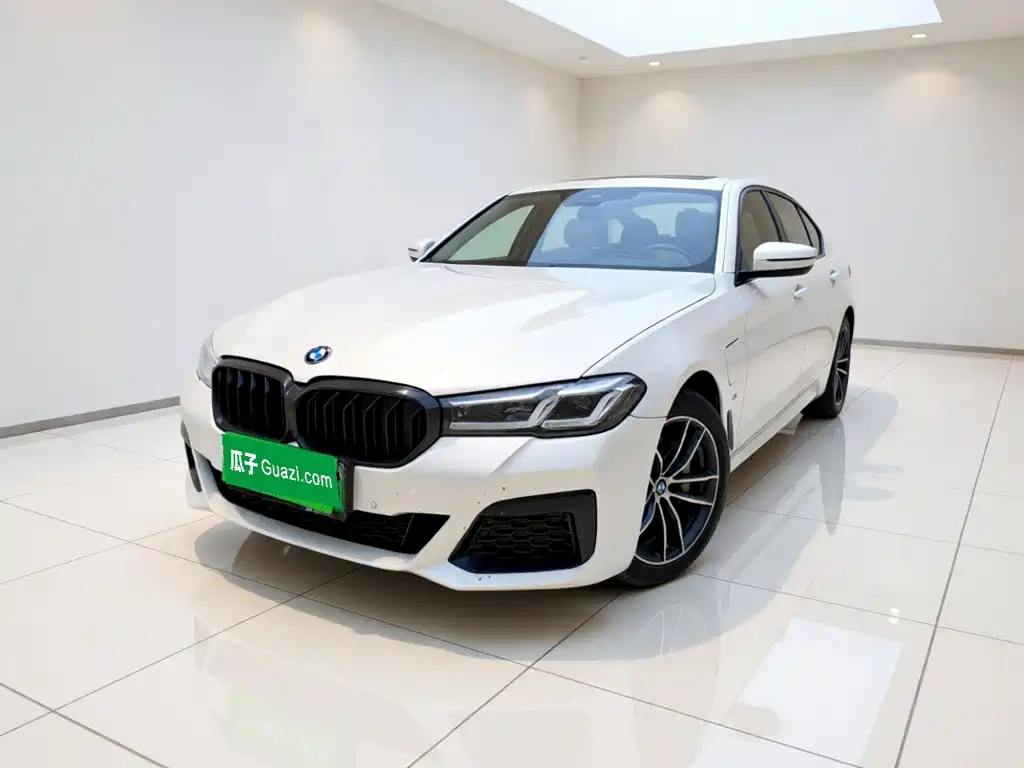 BMW 5 Series New Energy