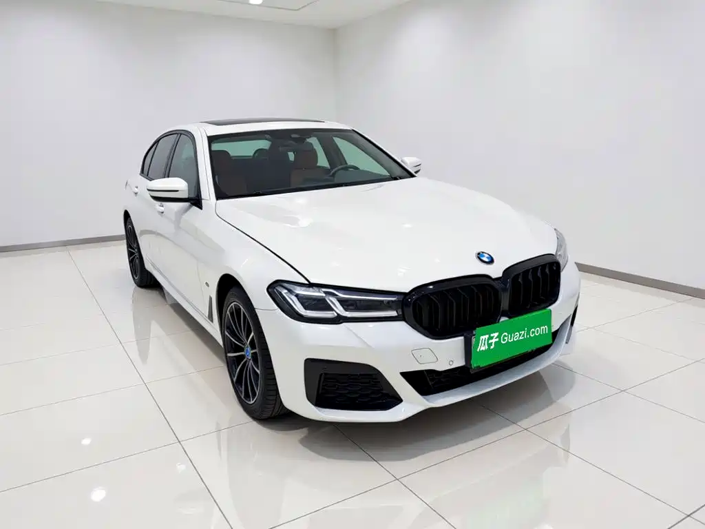 BMW 5 Series New Energy — миниатюра 3