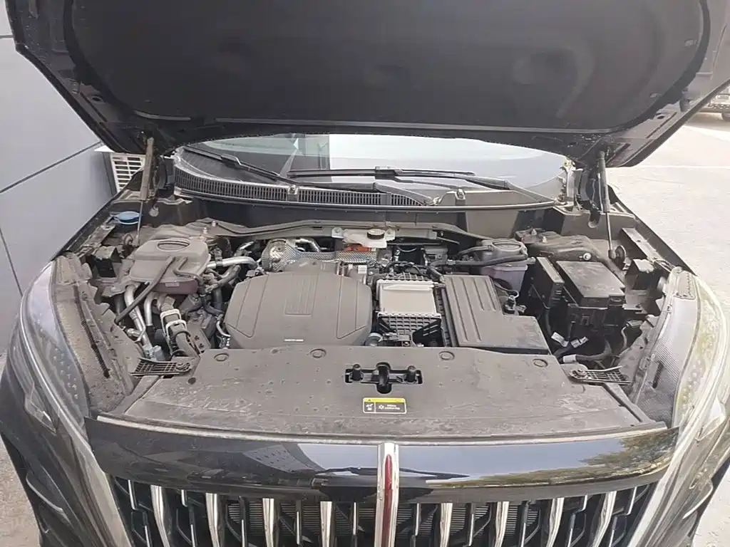 Hongqi Hongqi HS3 PHEV — миниатюра 20