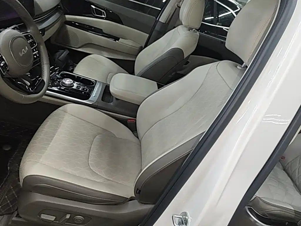 Kia Carnival — миниатюра 11