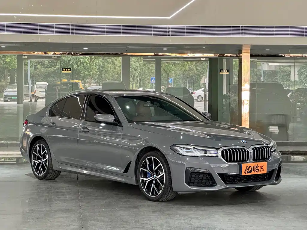 BMW 5 Series (Import) — миниатюра 3