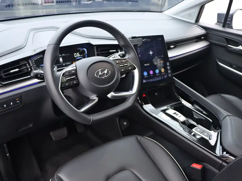 Hyundai Custo — миниатюра 6