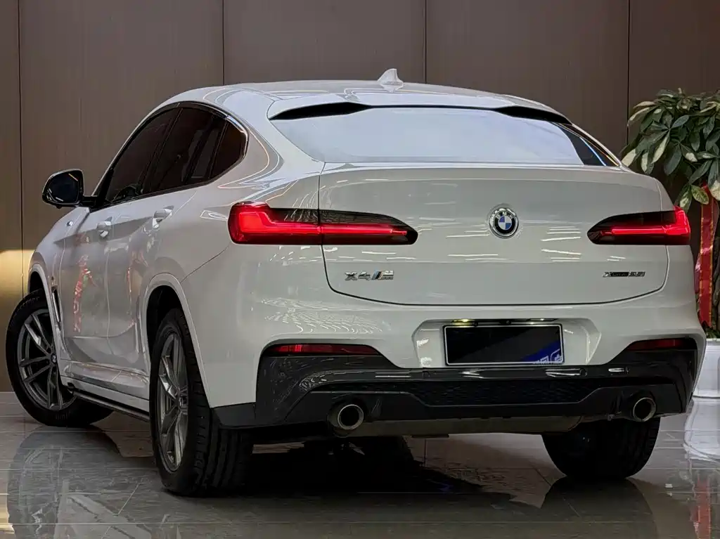 BMW X4 — миниатюра 18