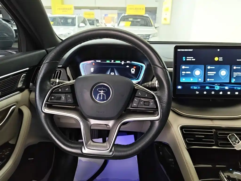 BYD PLUS New Energy — миниатюра 11