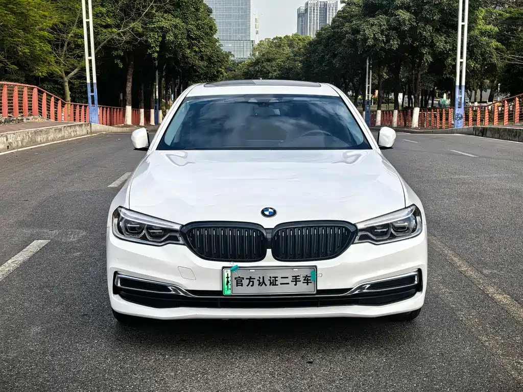 BMW 5 SERIES NEW ENERGY