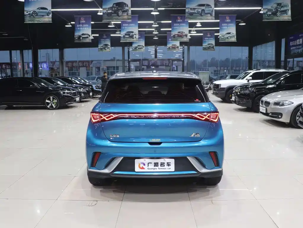 BYD Dolphin 2023 401km