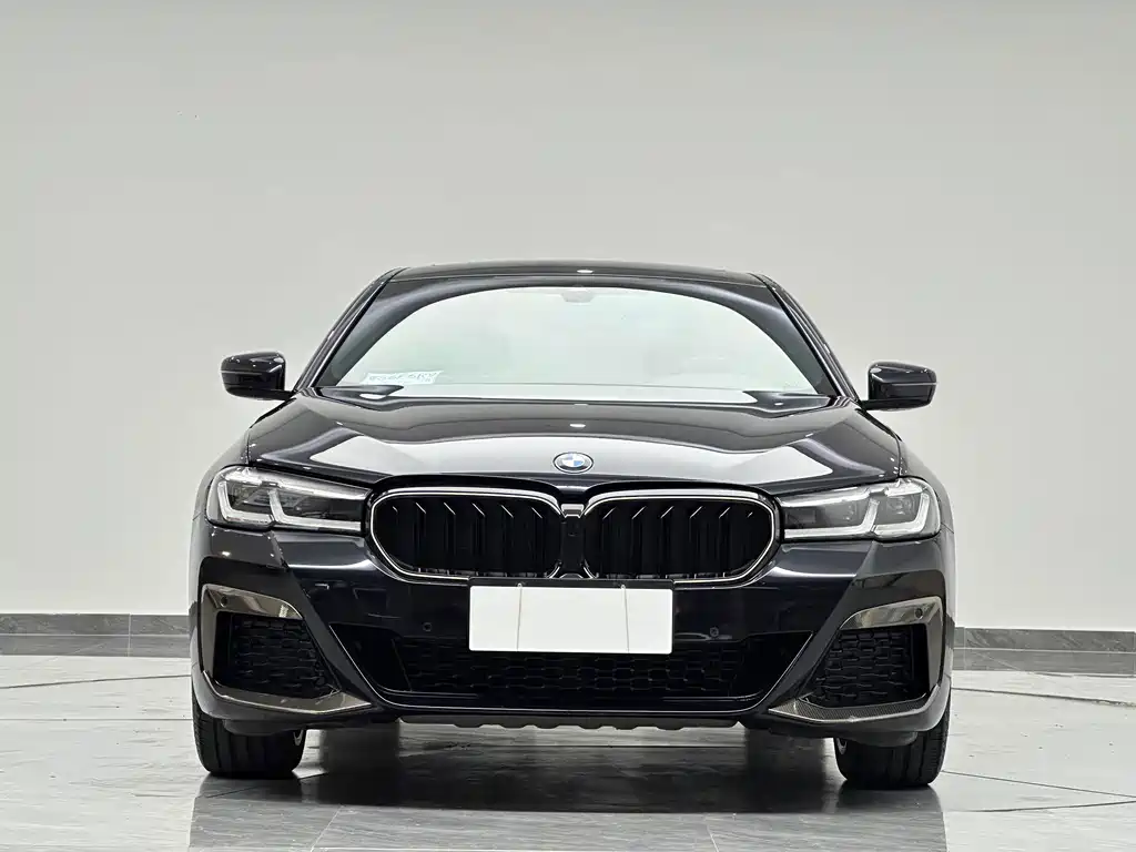 BMW 5 Series 5 2021 530Li Lead M Sport