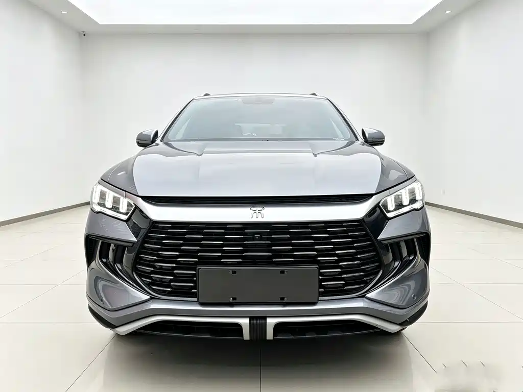 BYD Pro New Energy — миниатюра 2