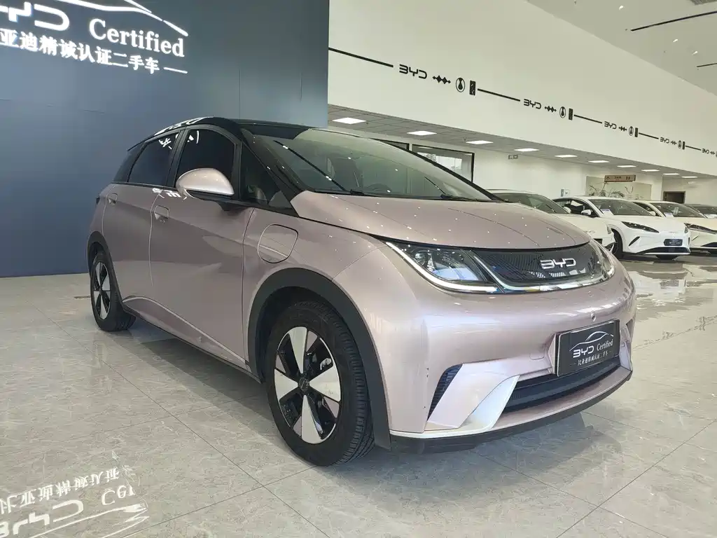 BYD Dolphin — миниатюра 3