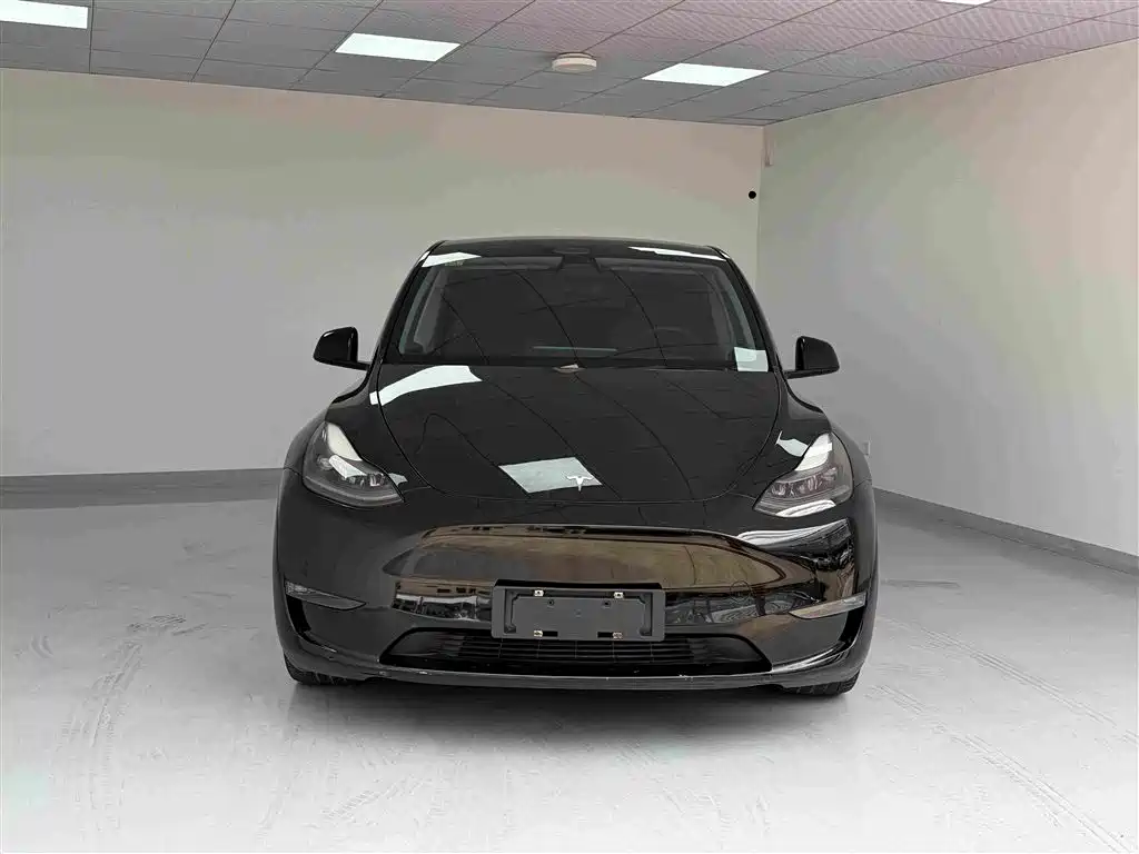 Tesla Model Y — миниатюра 2