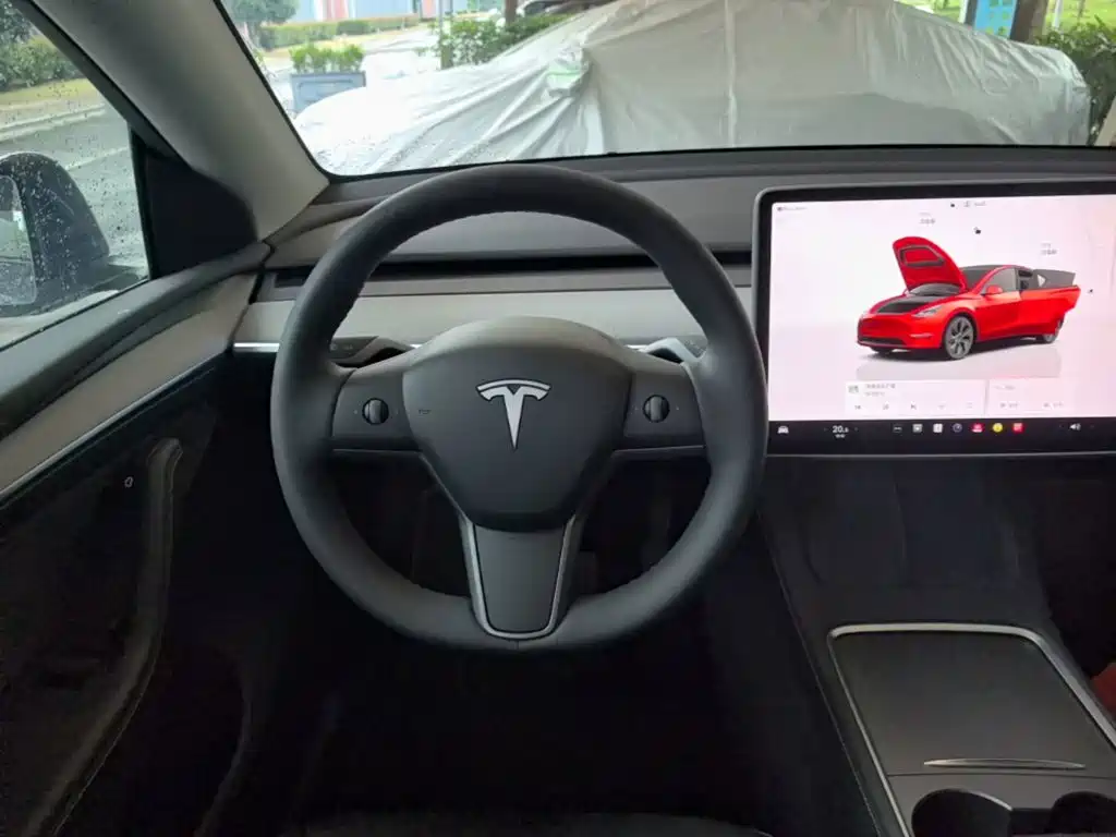Tesla Model Y — миниатюра 11