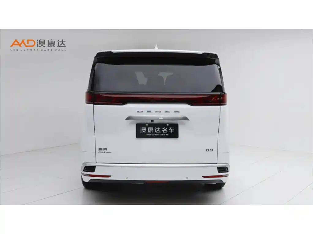 Denza Denza D9 — миниатюра 4