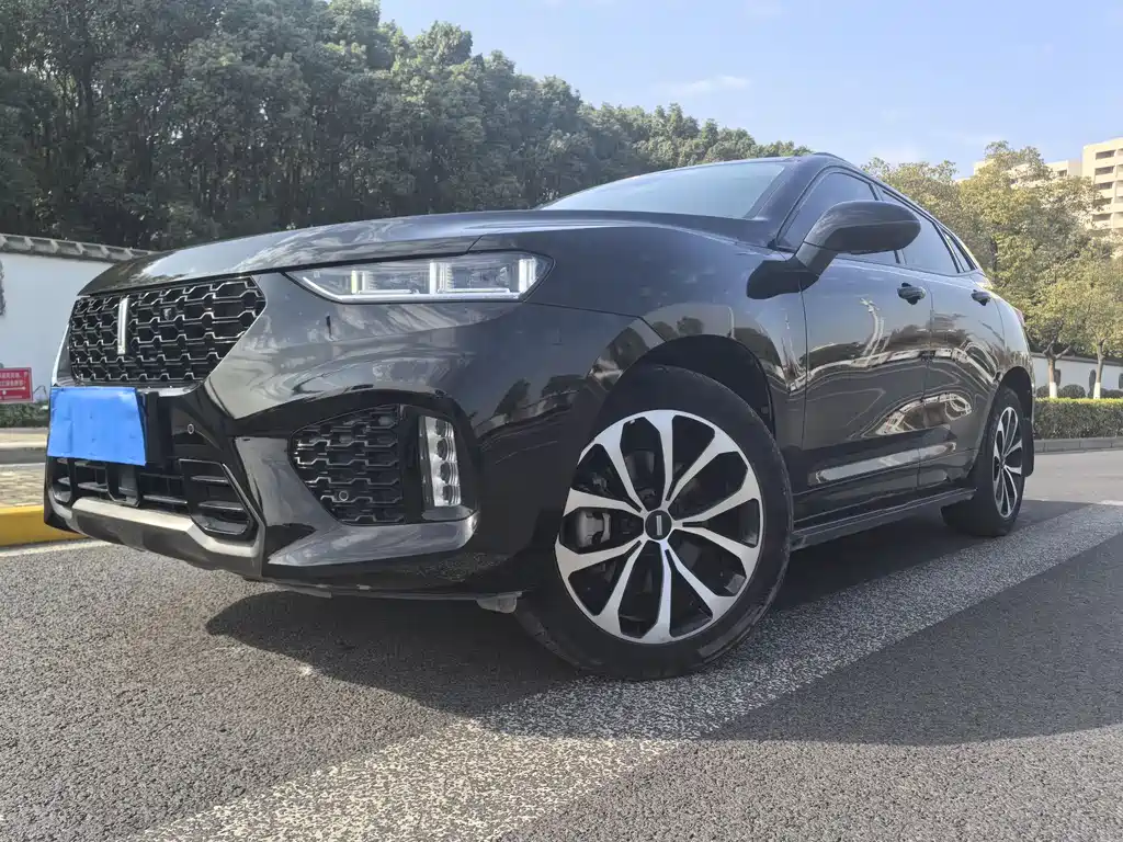 WEI PAI WEI BRAND VV7