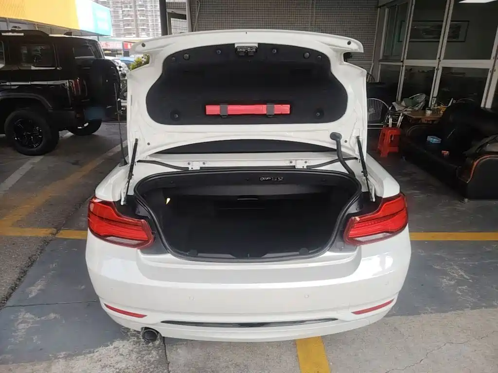 BMW 2 Series (Import) — миниатюра 19