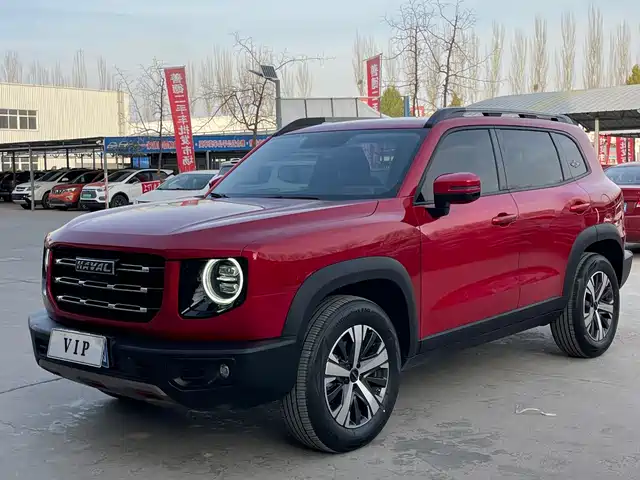 2021 Haval Big Dog