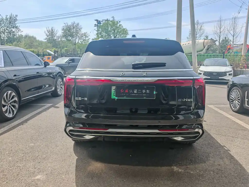 Hongqi HONGQI E HS9
