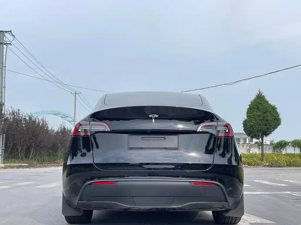 Tesla Model Y — миниатюра 6