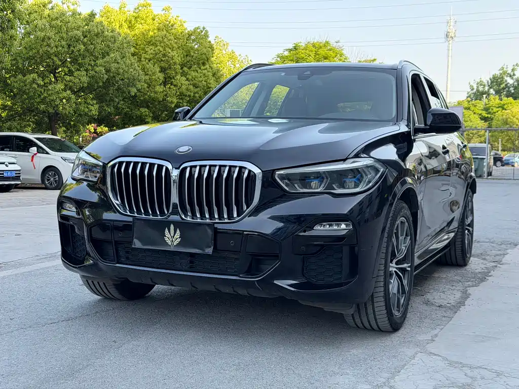 BMW X5 (Import) 2019