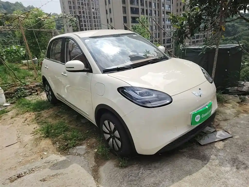 Wuling Binguo 2025 333km