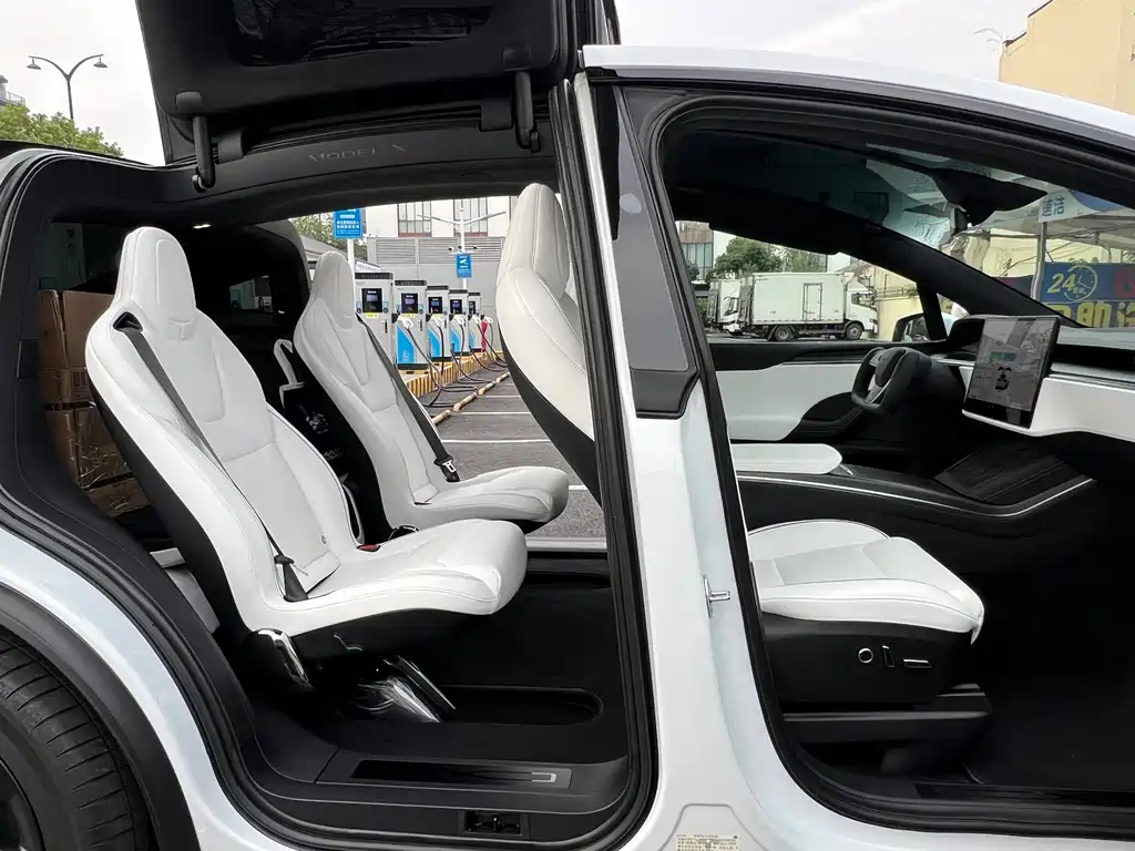 Tesla Model X — миниатюра 13