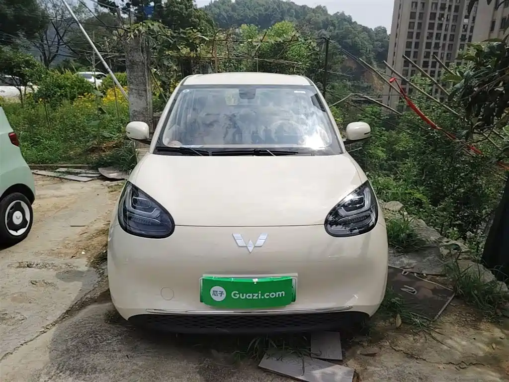 Wuling Binguo 2025 333km